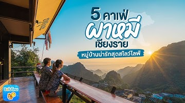 5 คาเฟ่ผาหมี เชียงราย หมู่บ้านน่ารักสุดสโลว์ไลฟ์