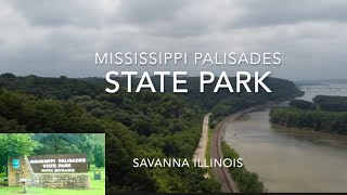 Mississippi Palisades State Park: A Hiking and Adventure Haven in Savanna, IL