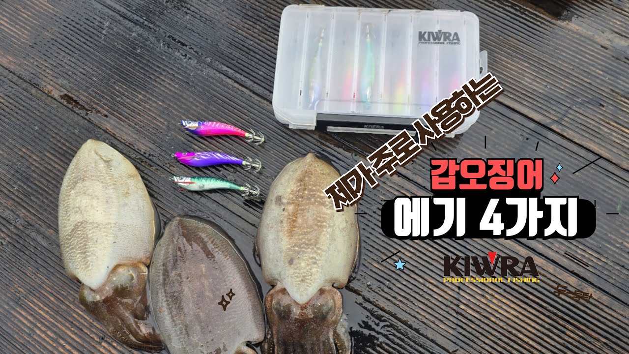 제가 주로 사용하는 에기 4가지 종류! #fishing #갑오징어 #누리에기 #키우라 - YouTube
