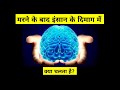 दिमाग से जुड़े कुछ ऐसे तथ्य जो आपको हेरान कर देंगे - amazing psychology facts in hindi #shortsfact