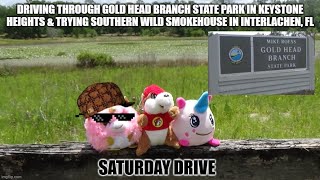 Saturday Drive ~ Gold Head Branch State Park in Keystone Heights, Fl ~ Trying Southern Wild BBQ