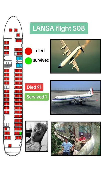 LANSA flight 508 passenger fatality and survival layout #planecrash #airdisaster #aeroplanecrash