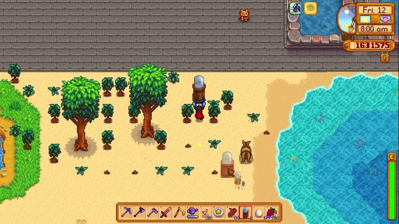 How to hatch your Ostrich Eggs so you can start building Ostriches in