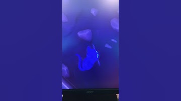 Quickly Buy a Ton of Event Items in Dauntless