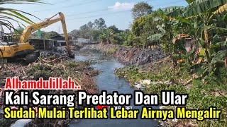 Download Lagu Alhamdulillah‼️Kali Sarang Predator Dan Ular Sudah Mulai Terlihat Lebar Dan Air Mulai Deras Mengalir MP3 Download Lagu Alhamdulillah‼️Kali Sarang Predator Dan Ular Sudah Mulai Terlihat Lebar Dan Air Mulai Deras Mengalir MP3
