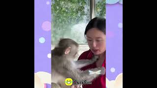 20220523  5739088216 Y 03