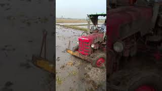 Md Halli Village Boys Is Livఎ