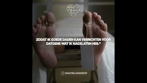 سورة المؤمن مقابل 99 - 100 مع ترجمة هولندية