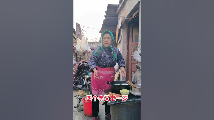 你品，你细细的品过年 太难了