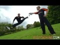 Scott Adkins Ginger Ninja Trickster Grass Sampler