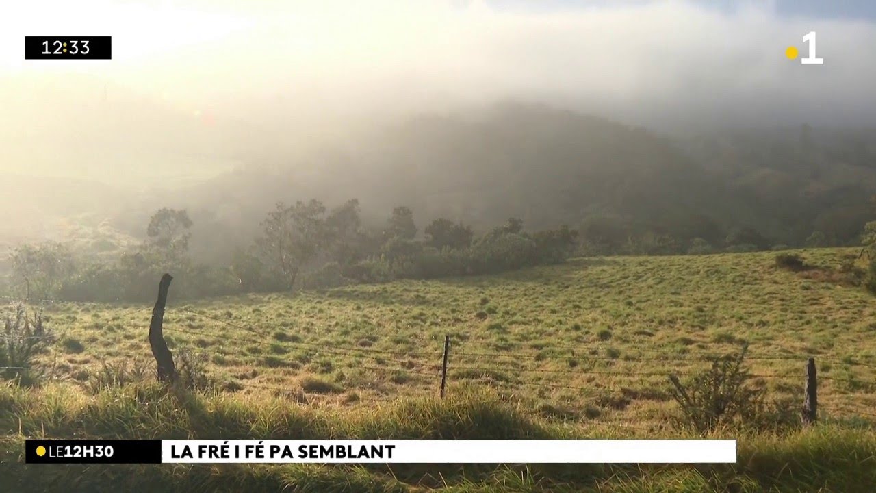 Granmatin, la Plaine des Cafres, la fré té pwak