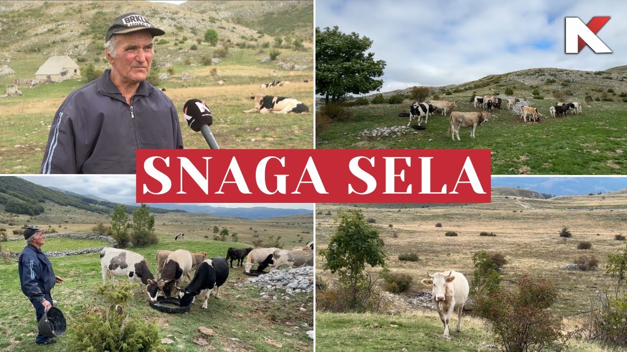 SNAGA SELA: Zoran Ćatović - katun Timarsko polje Sinjajevina 05.10.2025.