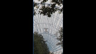 Hotels, festivals, big changes: What Dallas wants next for Fair Park