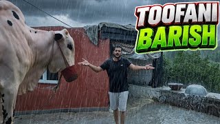 Toofani barsih say room main pani a giya 😱 - Snowman ka cage pura geela ho giya 😟 - JNTV Vlogs