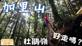 臺版富士山。加里山 | 034 | 滿是白牆的感動 | 又遇到狂風暴雨|膝蓋破壞者 | 大坪登山口 to 杜鵑嶺 | Helen愛登山 | 台灣小百岳