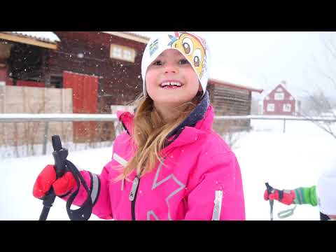 BAUIS skidskola på