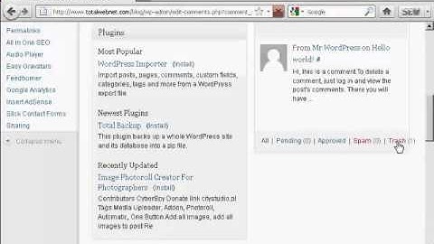 How to Use WordPress - How to Delete Comments Inside Trash Folder