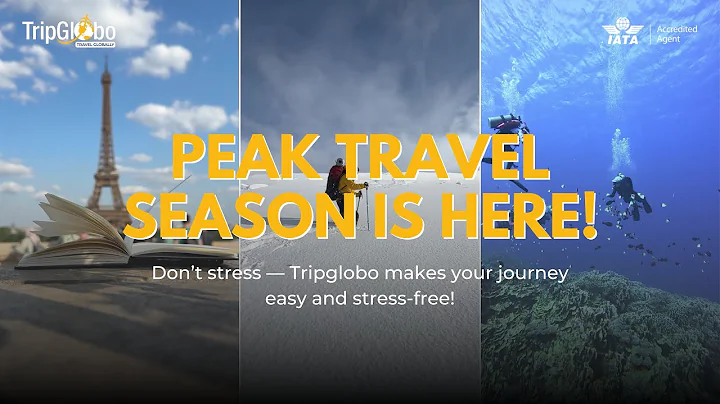Top 8 Peak Season Travel Tips ✈️ | Stress-Free Holidays with Tripglobo 🌍  #travel #facts