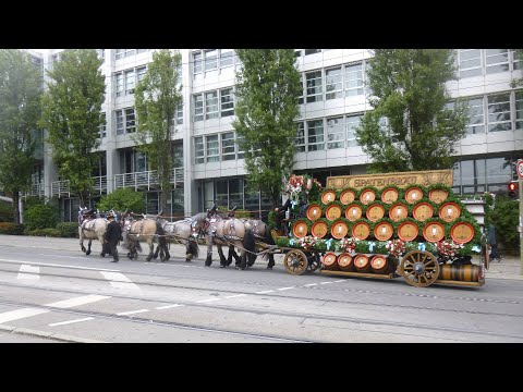 Munich Germany 17 — Horse-Drawn Beer Wagon in Munich, Russian Girl