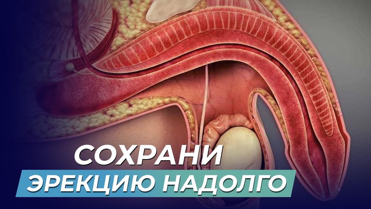 профилактика мужской потенции