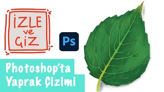 Adobe Photoshop'ta Yaprak Çizimi