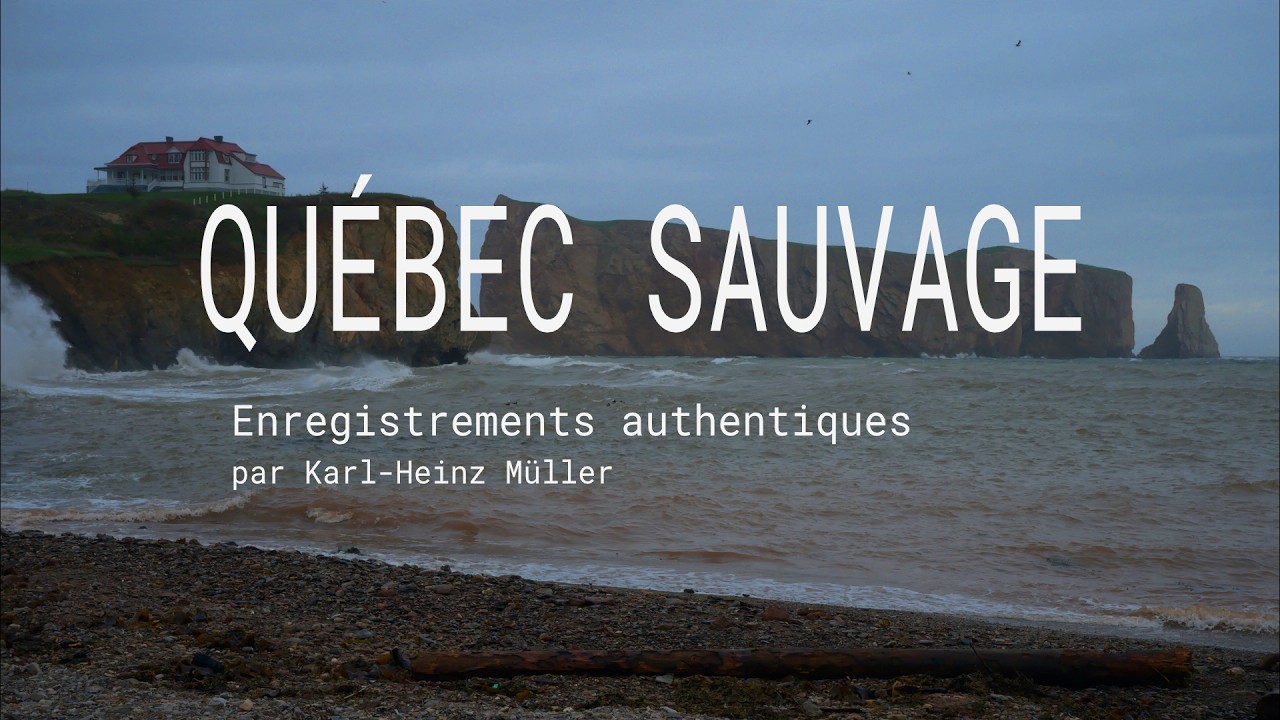 Paysages sonores :: Québec Sauvage :: 2026-02-27