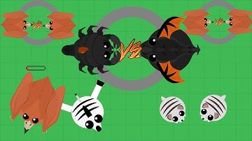 Mope.io-The Greatest 1v1 Comeback/Scorp Kills BD+1v1s/Zebra Kills Pterodactyl/Got White Tiger Twice