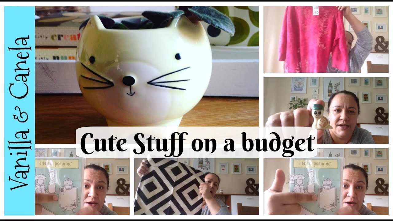 Wilkos & Charity Shop Hauls - Vlogtober day 10