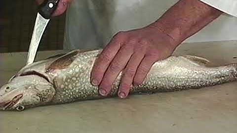 Fish Processing Video 2.0  "Process Like A Pro"