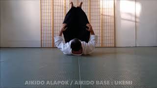 Gollob Szabolcs - BUDO ROOTS - AIKI - IAI - JO - RAJI UKEMI FITNESS screenshot 1