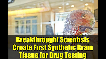 Breakthrough! Scientists Create First Synthetic Brain Tissue for Drug Testing