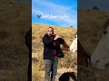 قصبة الخيل قصبة الخيل