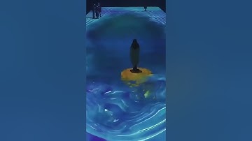 Interactive floor tile screen from the multimedia pavilion#leddisplay #jurassicworld #ledscreen #led