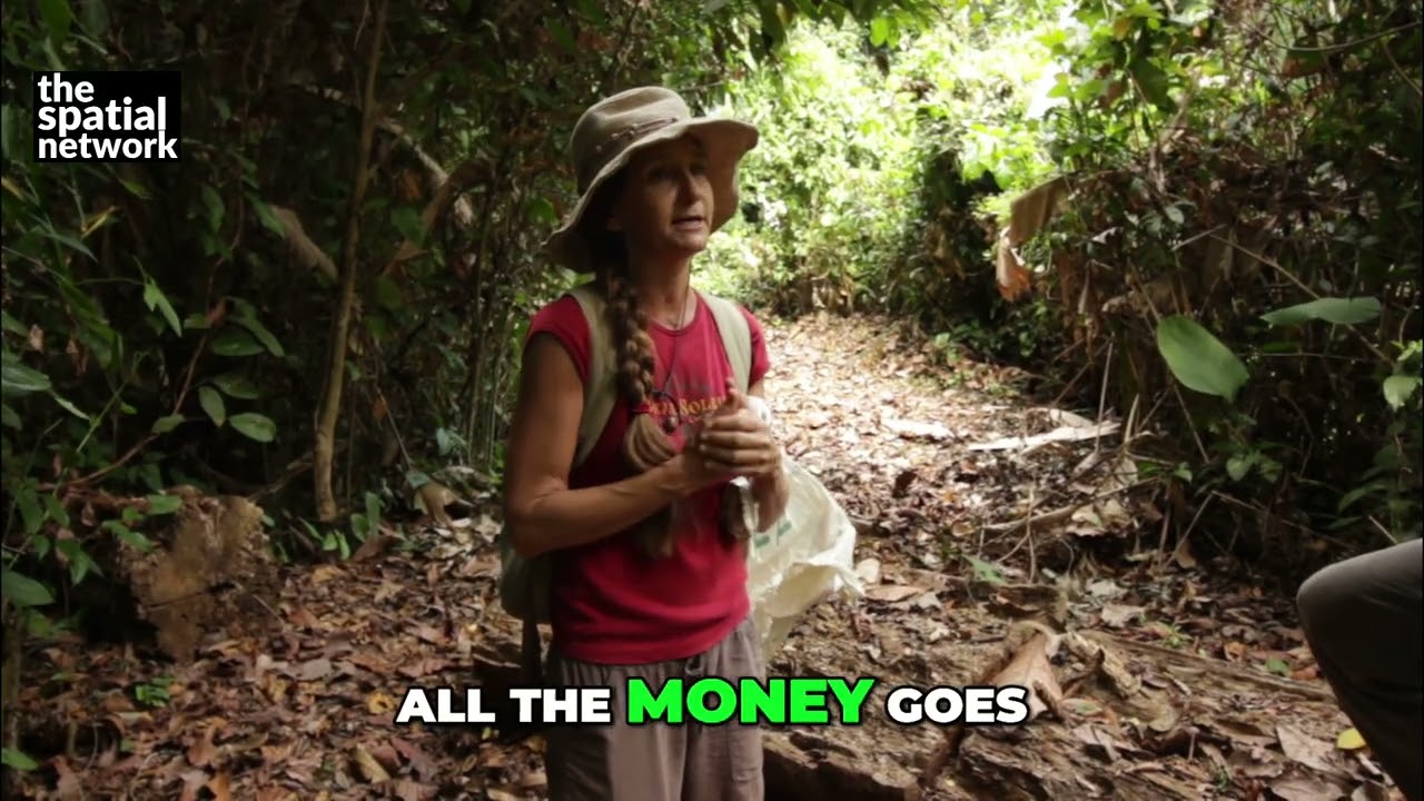 Community Carbon Trees: Volunteer-Powered Reforestation 