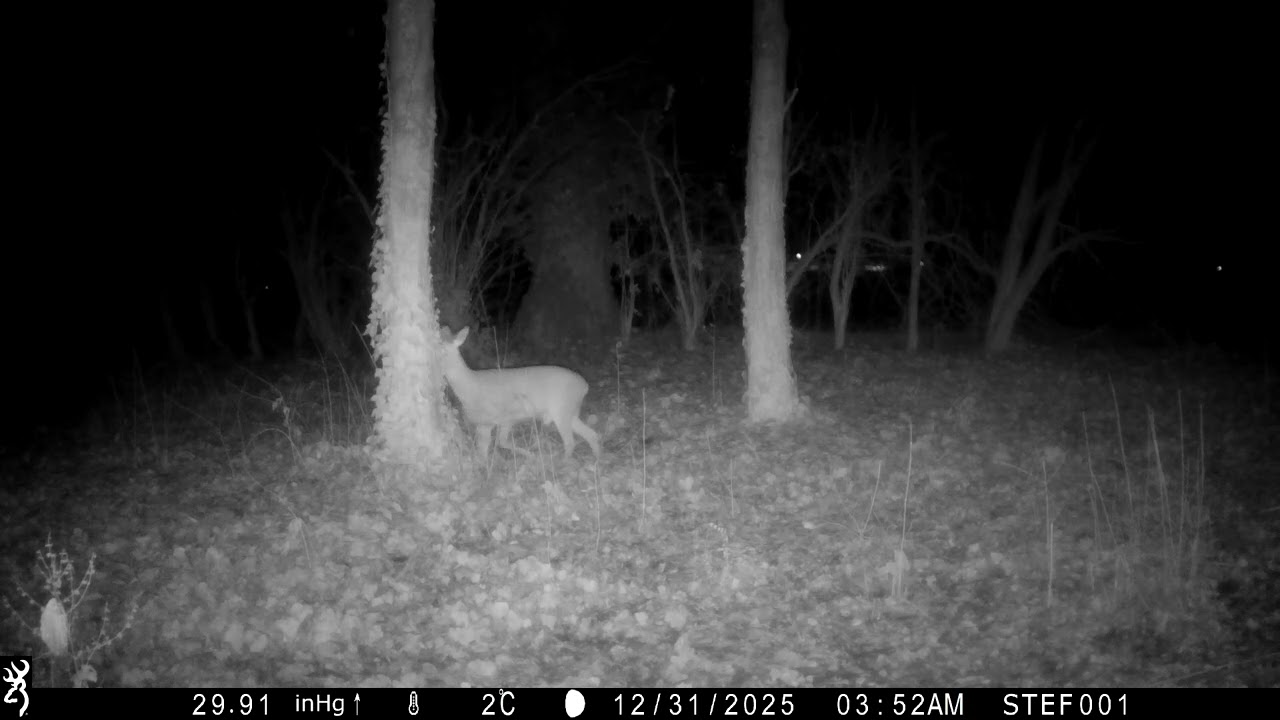 CAPRIOLO - 31/12/2025 - 03:52