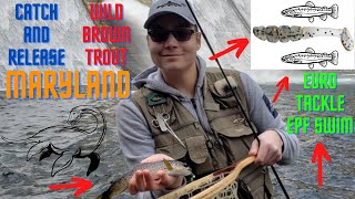 Wild Brown Trout EPF Swim Fishing Gunpowder Falls Maryland 2/12/22