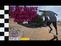 55 Years Old and having fun carving up this skate park!