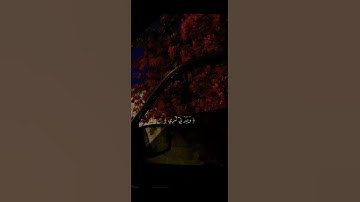 مقطع قرآني قصير من سورة طه🤍.
