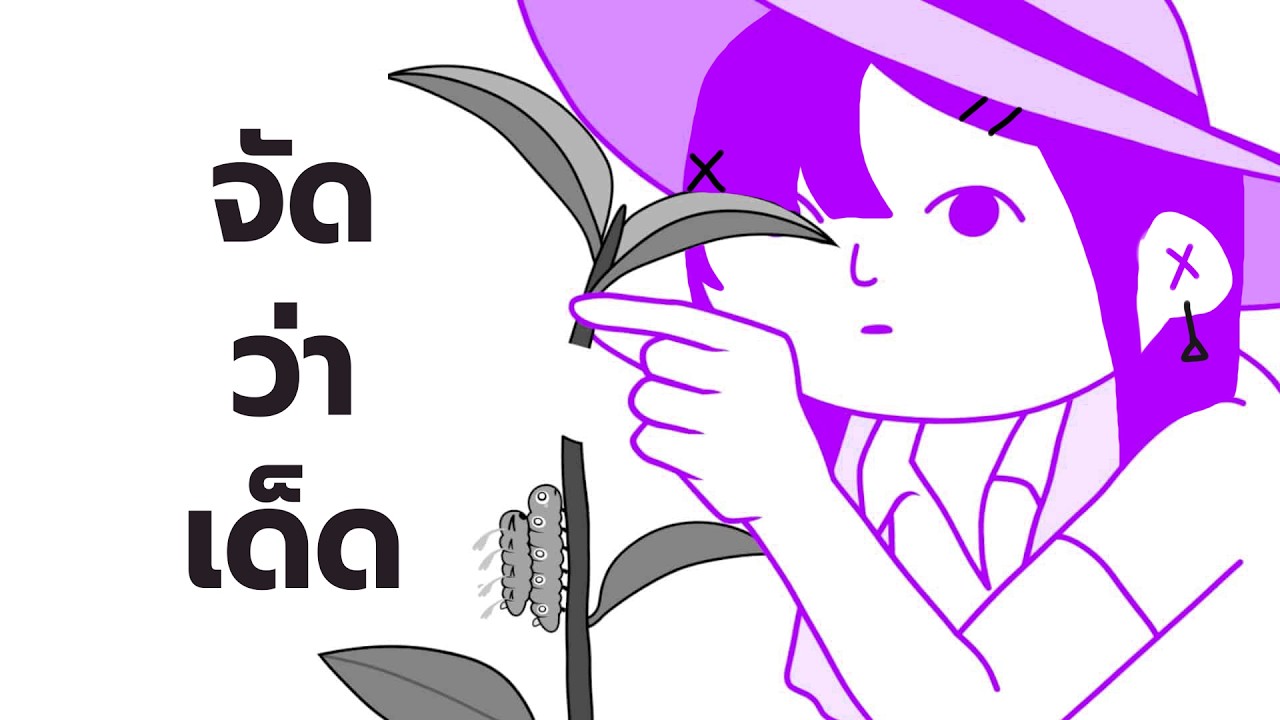 คลาสเรียนมารยาทไทย (ในเกมญี่ปุ่น)