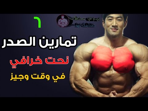 6 تمارين الصدر كمال الاجسام تضمن لك نحت خرافي في وقت وجيز - Chest Exercise Bodybuilding