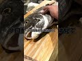 マダイの胃袋から謎の生き物が…………