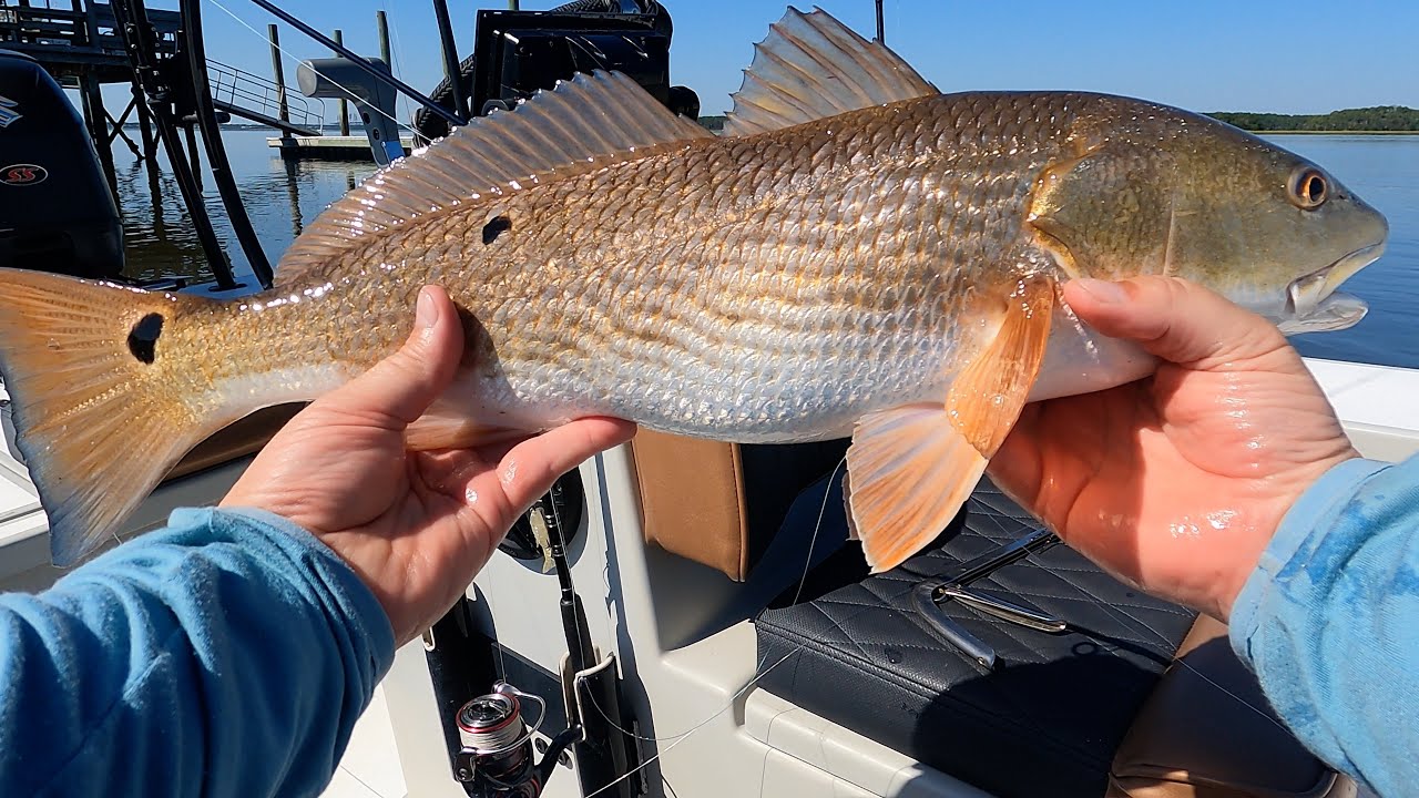 Потепление = Голодная рыба