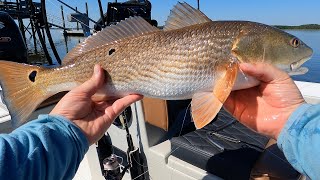 Warmer Temps = Hungry Fish screenshot 1