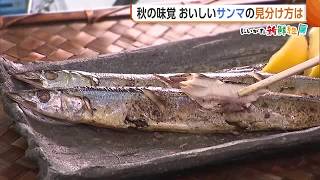 【秋の味覚】“サンマ”今年は不漁で小ぶりも「うまみ強く脂のっている」　おいしいサンマの見分け方は…“目”に注目！新潟 (26/09/14 20:00)