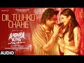 Andhra King Taluka: Dil Tujko Chahe - Hindi (Audio)|Ram Pothineni |Upendra |Bhagyashri |Vivek-Mervin