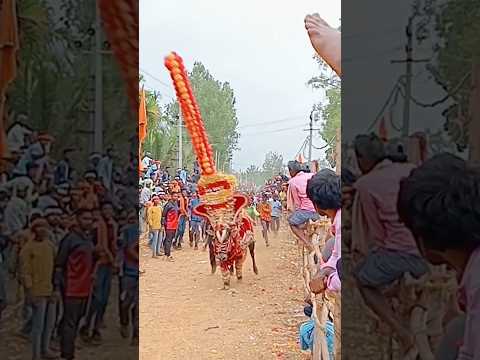 Masur Meesi Darbar