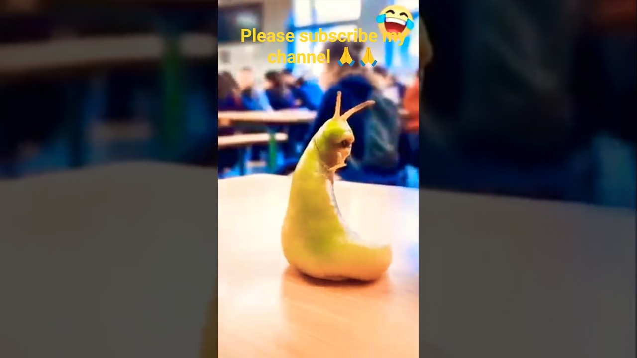 🙂👍🙏Tools ltems🥰New Viral Gadgets, Smart, Kitchen, Utensils/Home invented😂