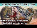 Top 10 Lion vs Tiger Real Fight Cases in History। शेर और बाघ की इतिहास में लड़ी गई दस सच्ची घटना।