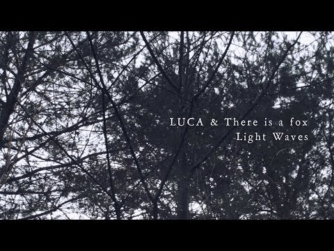 luca-&-there-is-a-fox-"light-waves"-music-video