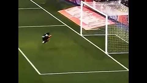 Black Cat Runs On Field And SCORES A GOAL!